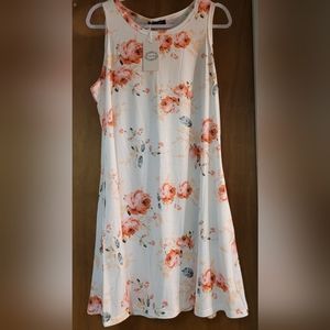 Camisa Stretch Sleeveless Dress with Pockets